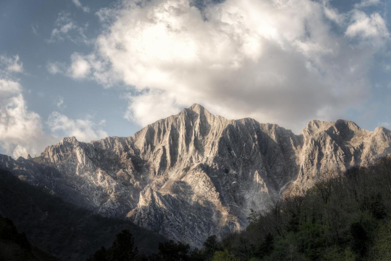 Il Sole Antico Bed & Breakfast Viareggio Dış mekan fotoğraf